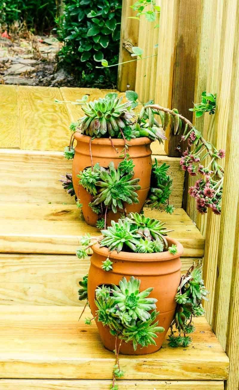 trực tiếp đá gà thomo hôm nay thứ sáu trực tiếp đá gà thomo hôm nay thứ sáu