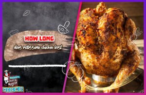 đá gà trực tiếp thomo hôm nay bình luận đá gà trực tiếp thomo hôm nay bình luận