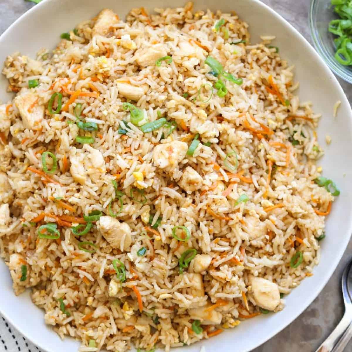 gà tre mỹ đá cựa sắt gà tre mỹ đá cựa sắt