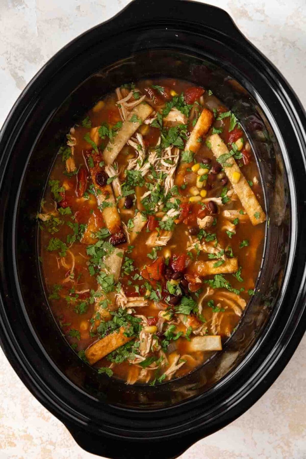 trại gà đá ở mỹ trại gà đá ở mỹ