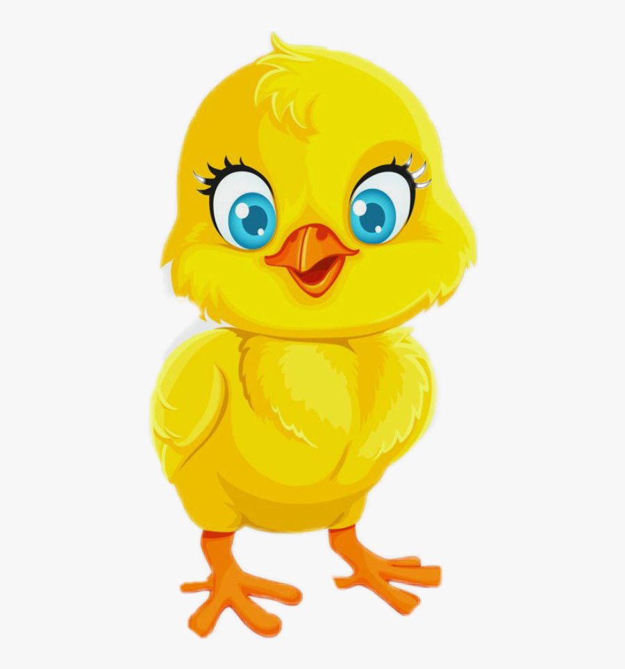 xem vảy chân gà đá cựa sắt