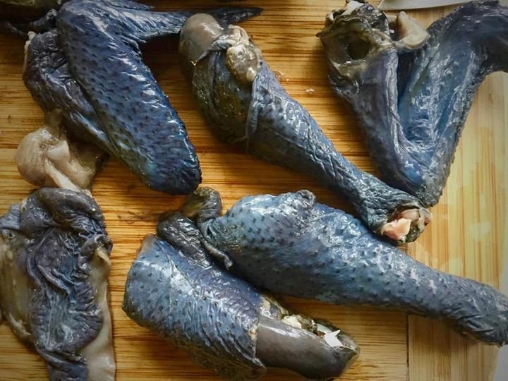 đá gà cựa sắt mới nhất 2016 đá gà cựa sắt mới nhất 2016