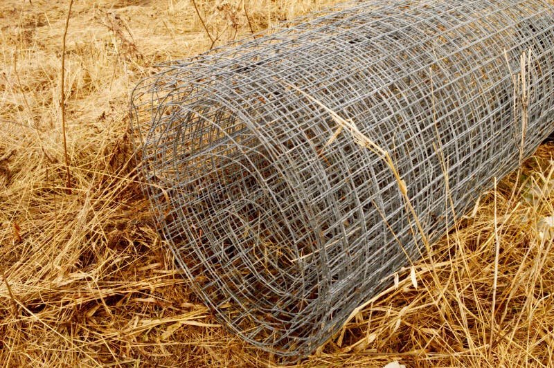 mua bán gà đá bến tre mua bán gà đá bến tre