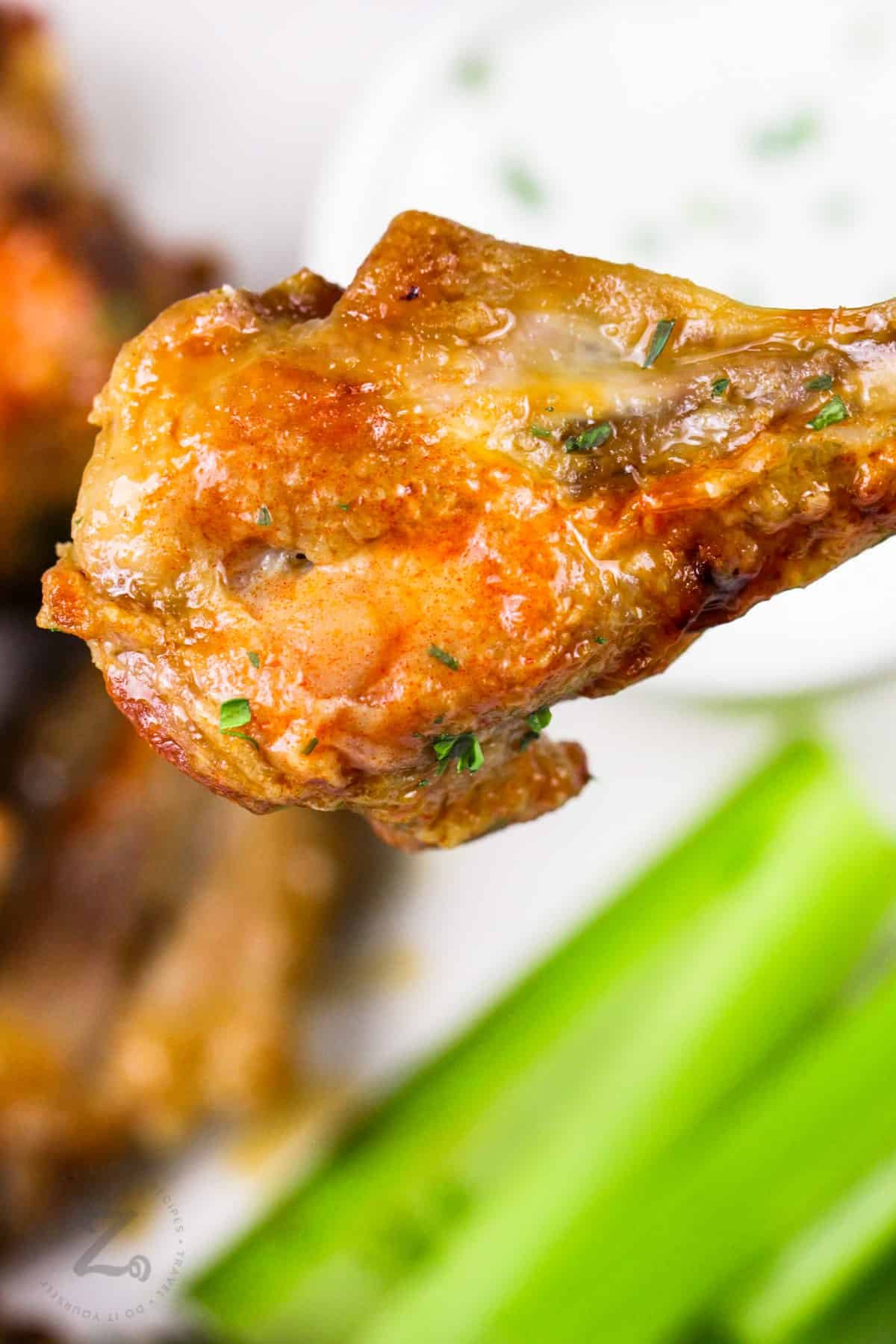 xem đá gà tre giải thomo xem đá gà tre giải thomo
