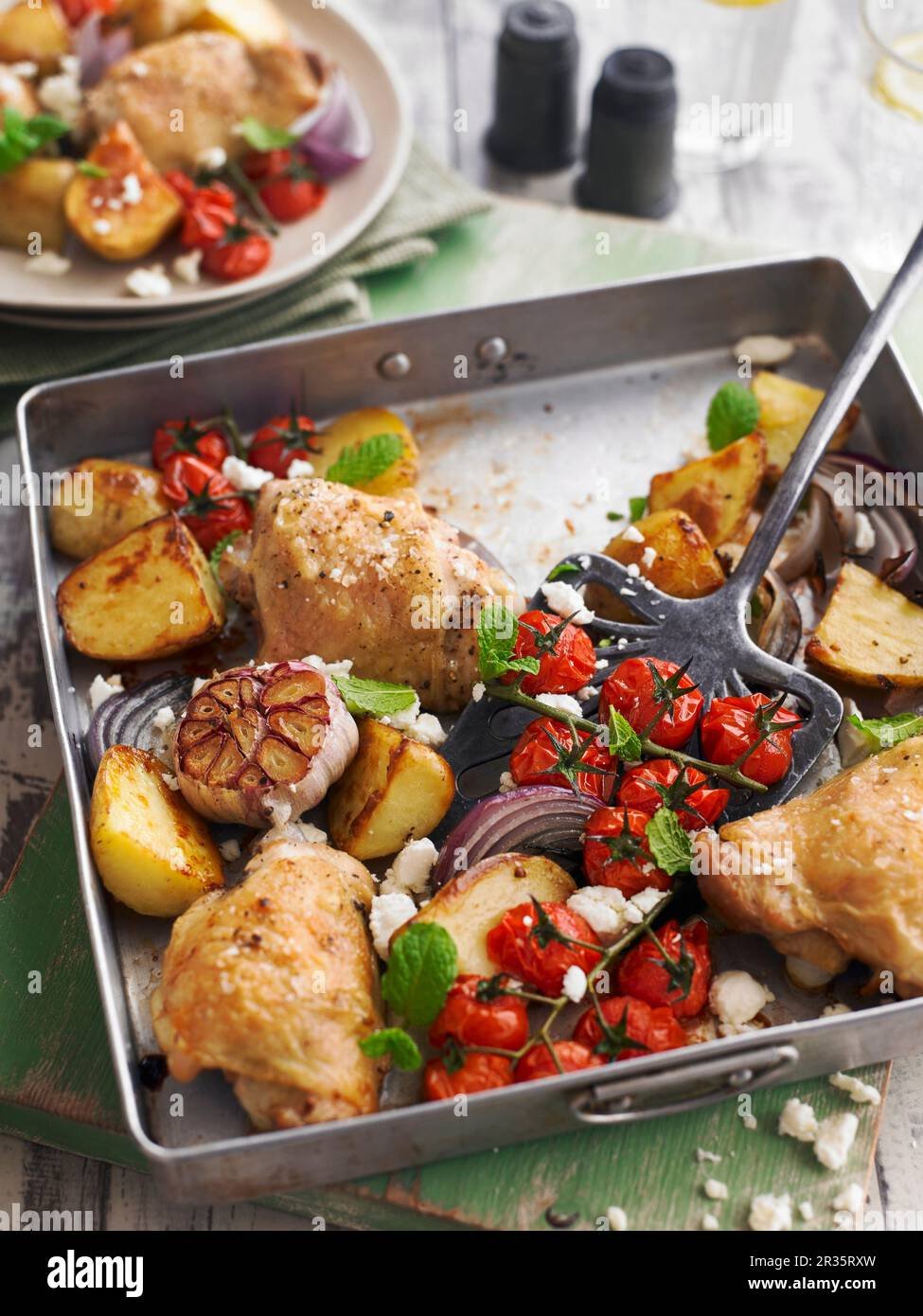 Chiến kê Cao Lãnh: Khám phá thế giới gà đá tinh nhuệ